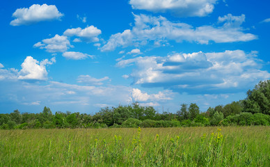 Plain landscape background