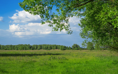 Plain landscape background