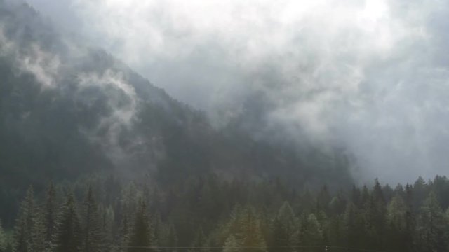 Early morning mist rising and dissolving on the forested slopes of alpine mountains.