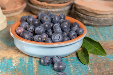 Organic healthy superfood blueberry in bowl, new harvest, raw, ready to eat