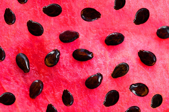 Watermelon Background. Red texture of Watermelon fruit with black seeds close up.
