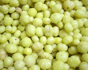 Star gooseberry