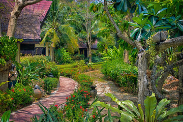 Beautiful tropical garden with green trees, small footpath, house. Thai style