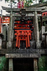mini torii in shrine