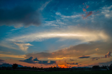 Obraz premium Sunset on green farm field landscape