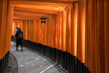 Fototapeta premium Gates tunnel in Fushimi inari shrine