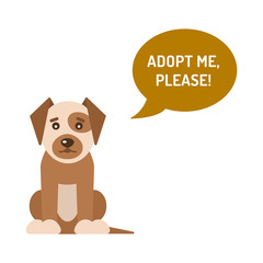 The dog asks to adopt him