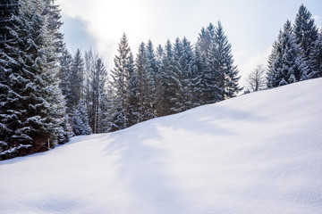 Fototapeta na wymiar Beautiful winter scenery in the german alps at Oberstdorf, Allgaeu, Bavaria, Germany