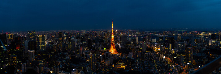 Tokyo Cityscape at night from Roppongi Hills