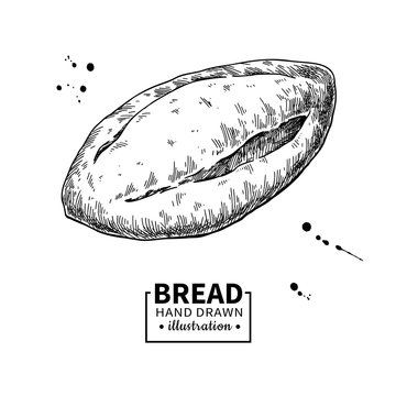 Bread vector drawing. Bakery product sketch. Vintage food 
