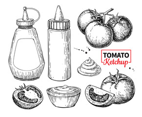 Ketchup sauce bottle with tomatoes. Vector drawing. Food flavor 