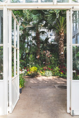 Entering in a lush botanical garden
