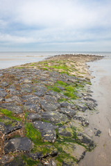 Buhne an der Nordsee ragt ins Meer