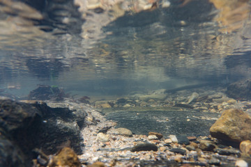 Fototapeta na wymiar Underwater stream