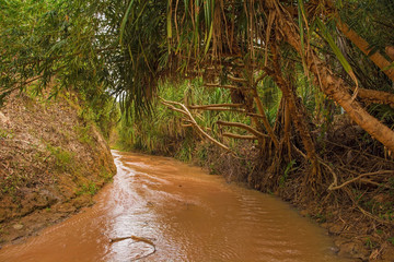 The Fairy Stream (Suoi Tien) in Mui Ne, Binh Thuan Province, Vietnam
