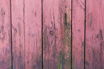 Red old weathered worn rustic wooden boards with green moss. Background