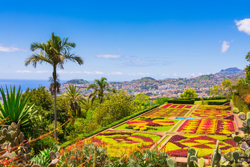 Botanical garden in Funchal, Madeira island, Portugal