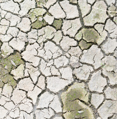 dry cracked earth