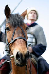 Fototapeta premium The horse and the warrior 