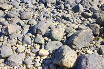 Irish basalt blocks obtained by cooling of the volcanic lava millions of years ago