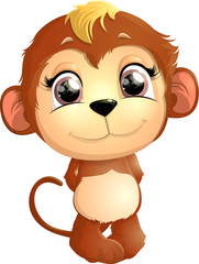 beautiful cute monkey