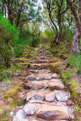 Levada das 25 fontes and levada do risco, Madeira Island, Portugal