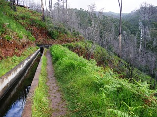 Obraz premium Canal d'eau de pluie Levada nova à Madère au Portugal.