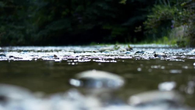 Flusslauf Natur Steine