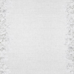 white abstract canvas background