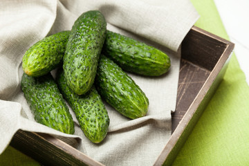 Fresh cucumber in brown box, agriculture.