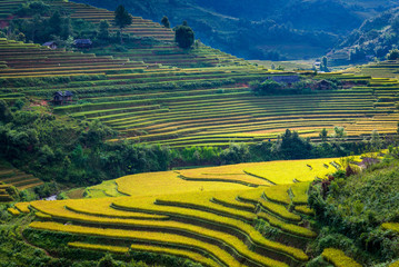 Beautiful mountain range with rice terraced view point at Mu Cang Chai district, Yen Bai province,...