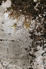 texture of stone background abstraction