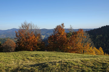 Beautiful autumn mountain landscape