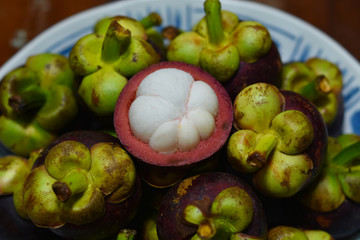 Garcinia mangostana tropical mangosteen fruit