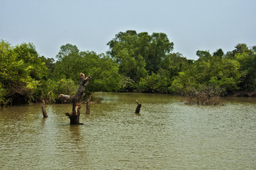 Waterscape