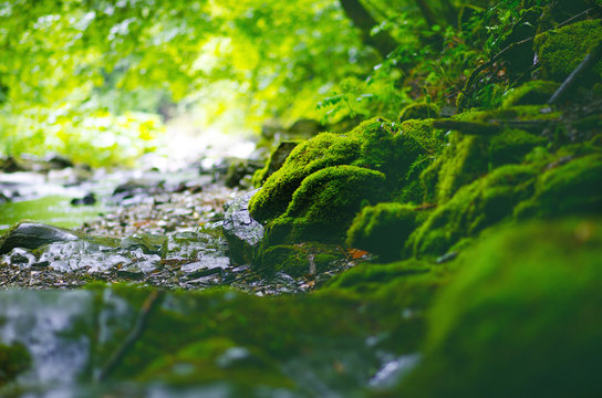 Beautiful green countryside. River with big rocks covered by moss and deciduous forest. Green landscape