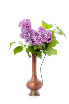 A bouquet of pink lilac in an oriental copper jar on a clean white background. Isolated..
