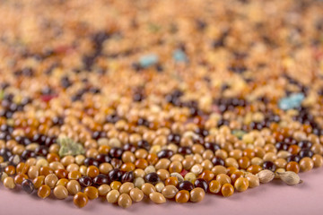 Feed parrots, colorful grains of millet, close up