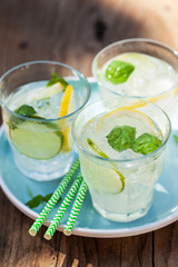 refreshing lemonade drink with mint lime lemon in garden