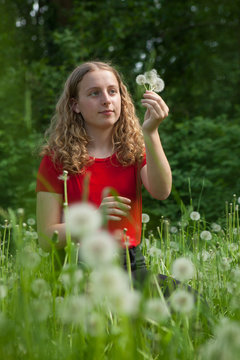 Girl holding dandelions inner hand.	