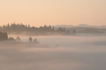 Yellow foggy sunrise in the mountains
