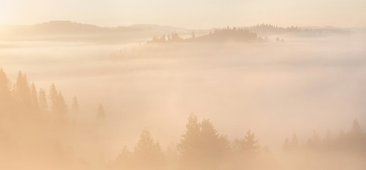 Obraz na płótnie Canvas Yellow foggy sunrise in the mountains
