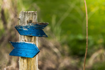 Follow the blue wooden arrow.