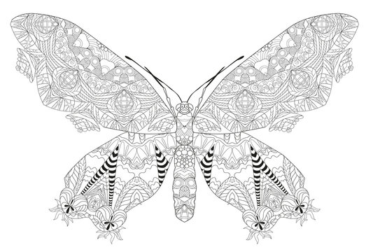 Zentangle stylized butterfly. Hand Drawn lace vector illustration