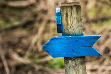 Follow the blue wooden arrow.