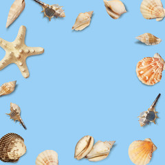 Sea shell and starfish. Frame of seashells on blue background. Flat lay, top view 
