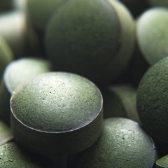 Compléments alimentaires. Spiruline artisanale en comprimés. Algue bleu vert
