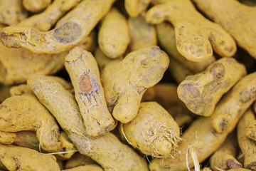 Raw Turmeric roots background
