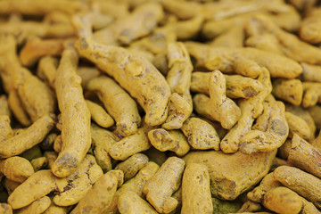 Raw Turmeric roots background