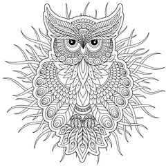  Coloring page with cute owl and floral frame. - 205227390